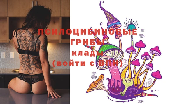 дживик Алексеевка